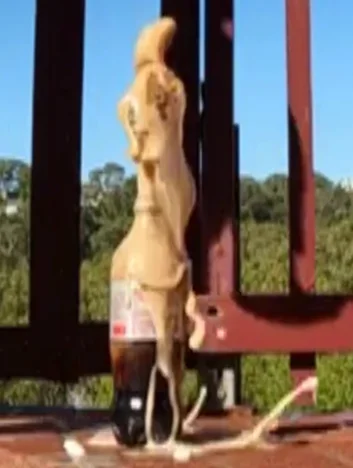 2026-07-08 Mentos with Diet Coke vs Normal Coke experiement + slo-mo videos